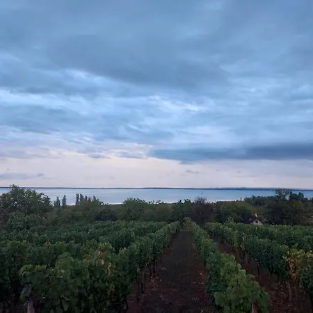 Panorama Vendeghaz Case de vacanță *